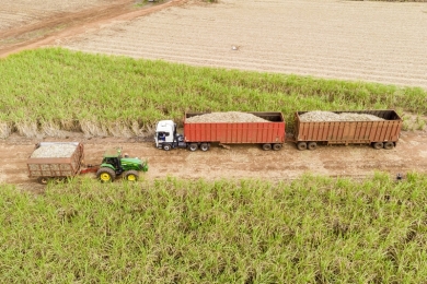 Recuperação da moagem avança e safra 24/25 promete crescimento no Nordeste, aponta consultor
