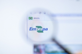 Brasileira que revolucionou a produção de soja com bactérias vence o Prêmio Mundial da Alimentação 2025