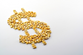 Valor Bruto da Produção agropecuária deve ultrapassar R$ 1,4 trilhão em 2025