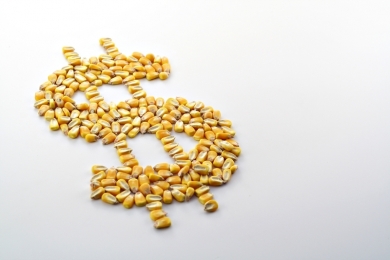 Valor Bruto da Produção agropecuária deve ultrapassar R$ 1,4 trilhão em 2025