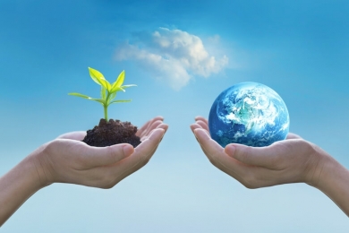 5 de junho: Dia Mundial do Meio Ambiente